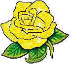 yellow_20rose
