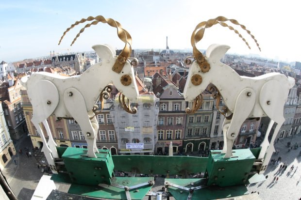 20.10.2008 POZNAN POZNANSKIE KOZIOLKI STARY RYNEK RATUSZ WIEZA RATUSZOWA FOT. ANDRZEJ MONCZAK / AGENCJA GAZETA
